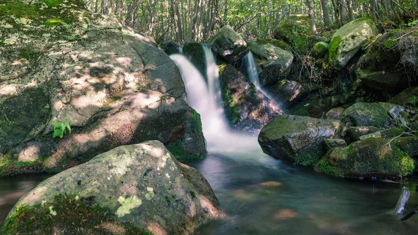 Pequeno rio em Alpes bosques com água fluindo . — Fotografia de Stock