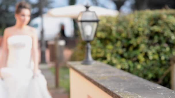 Smiling bride walking in park — Stock Video