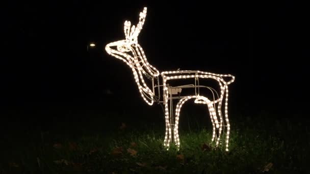 驯鹿的圣诞装饰 — 图库视频影像