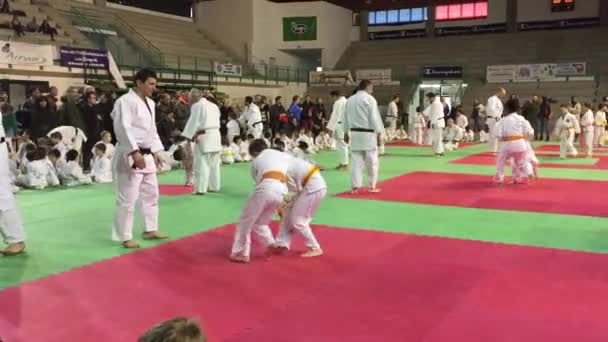 Judo niños competion interior . — Vídeos de Stock