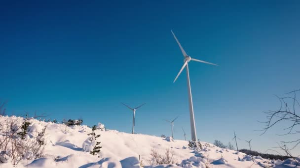 Wind turbines on snow winter landscape — Stock Video