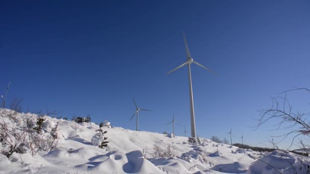 Turbinas eólicas contra o céu azul escuro . — Vídeo de Stock