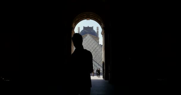 Люди silouettes на музей Лувр — стокове відео