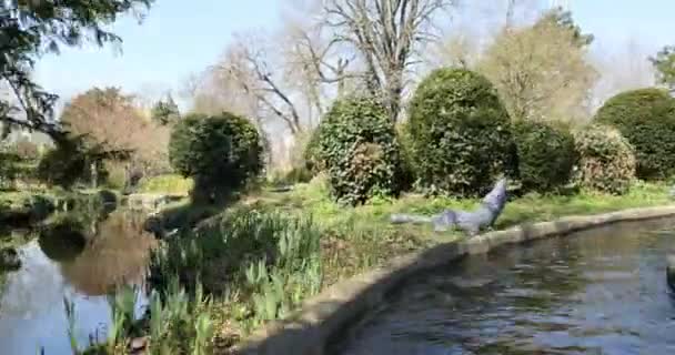 Fritidsaktivitet inuti Jardin d'Acclimatation — Stockvideo