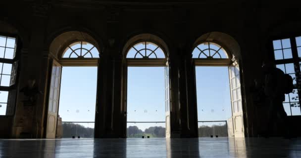 Vaux le Vicomte Castle — Stockvideo