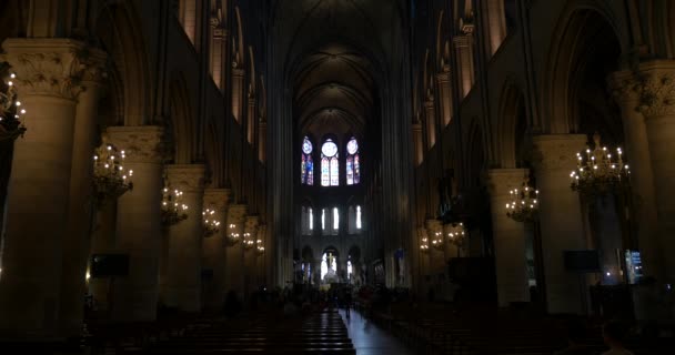 Notre Dame de Paris Katedrali — Stok video