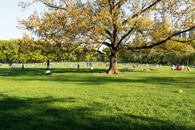 Açık havada park faaliyetleri zevk insanlar