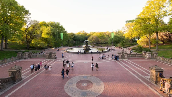 Wasserfontäne im Central Park in New York — Stockfoto