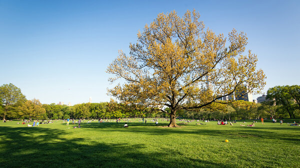 NEW YORK CITY, MAY 2015. People enjoying outdoors activities in Central Park. The park is the most visited urban park in the United States with 35 million visitors annually.