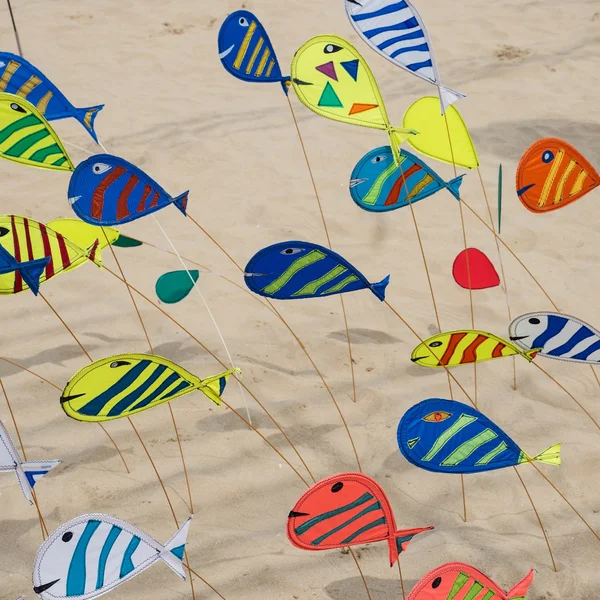 Colorful fish for International Kite Festival — Φωτογραφία Αρχείου
