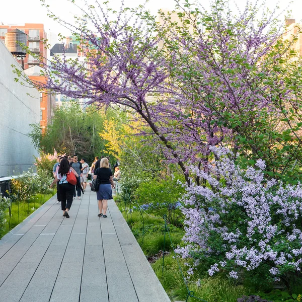 Pessoas caminhando no High Line Park em Nova York — Fotografia de Stock