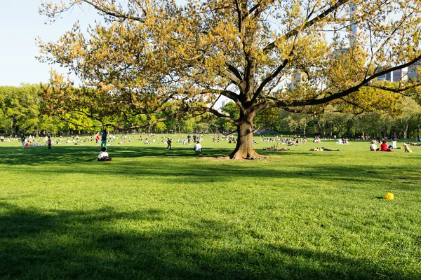 Lidé se těší venkovní aktivity v parku — Stock fotografie