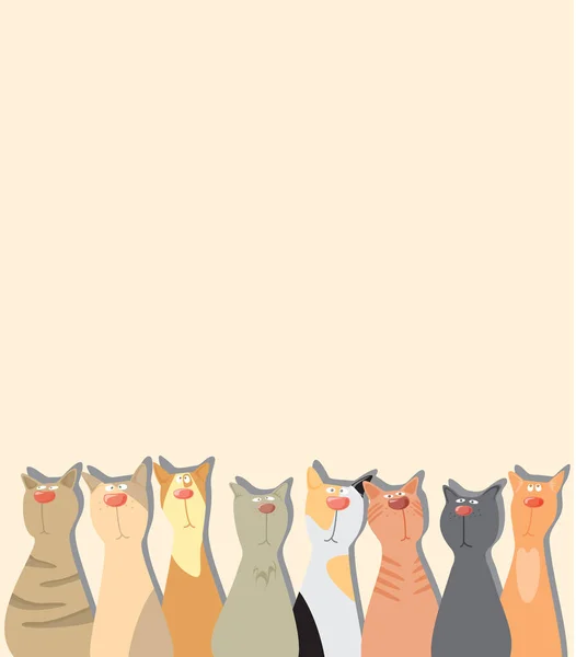 Γάτες Φόντο Εταιρεία Διαφορετικών Γατών — Διανυσματικό Αρχείο