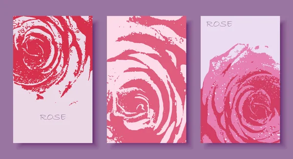 Conjunto Cartão Com Flor Rosa Cores Rosa Profundas Fundo Design — Vetor de Stock