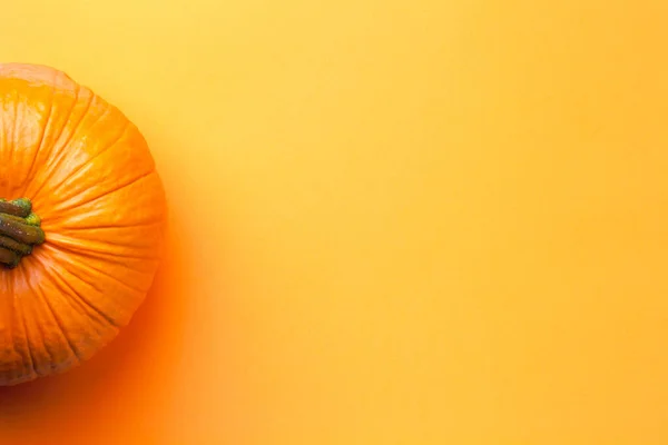 Sfondo Minimale Arancione Con Zucca Autunnale Spazio Vuoto Testo Vista — Foto Stock