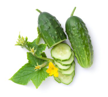 Beyaz arka planda izole edilmiş salatalık bileşimi. Taze dilimler, çiçekler ve yapraklar. Üst görünüm