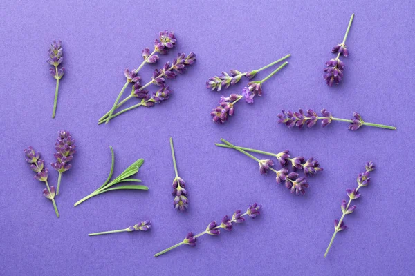 Flores Lavanda Fundo Violeta Vista Cima Flat Lay — Fotografia de Stock