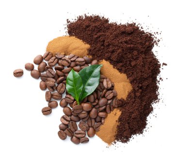 Beyaz zemin üzerinde yaprakları olan üç farklı kahve çeşidi. Üst manzara, düz uzanma