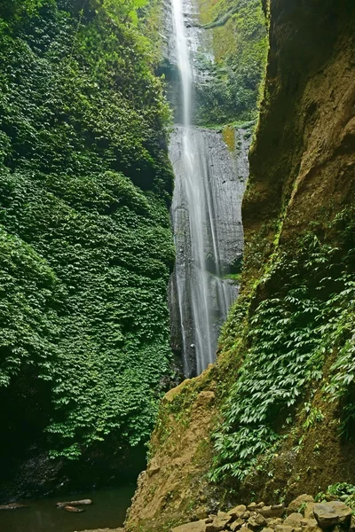 Cascada de Madakaripura en Java Oriental — Foto de Stock