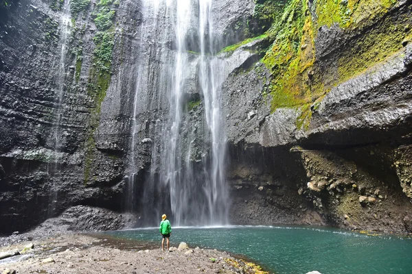 Cascada de Madakaripura en Java Oriental — Foto de Stock