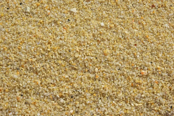 Gravel on the coast — Stock Photo, Image