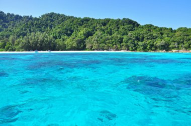Tachai Adası Similan Milli Parkı'nda