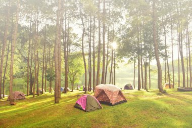 Pang Oung ilçe hayvan alan