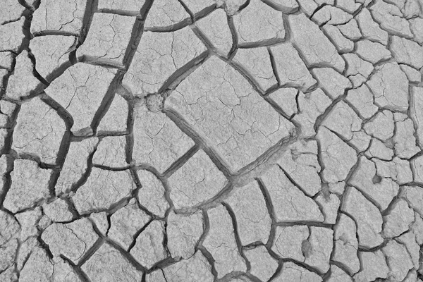 Closeup of dry land Stock Photo