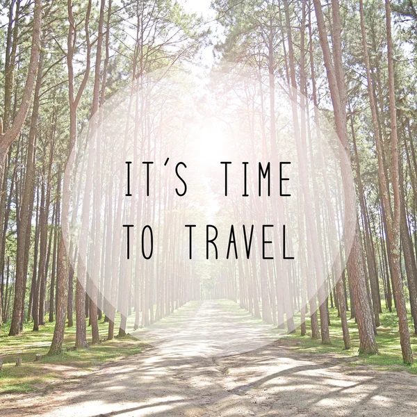 It s time to travel on Pine park — Stock Photo, Image