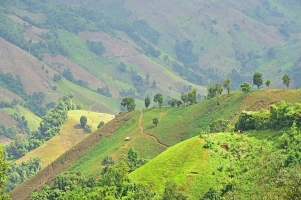 Blick auf den Berg im doi phu kha Nationalpark — Stockfoto