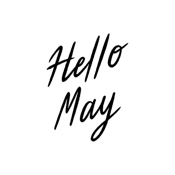 Hello May Hand Lettering White Background — Stock Vector