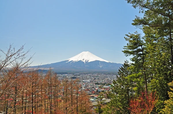 富士山 — ストック写真