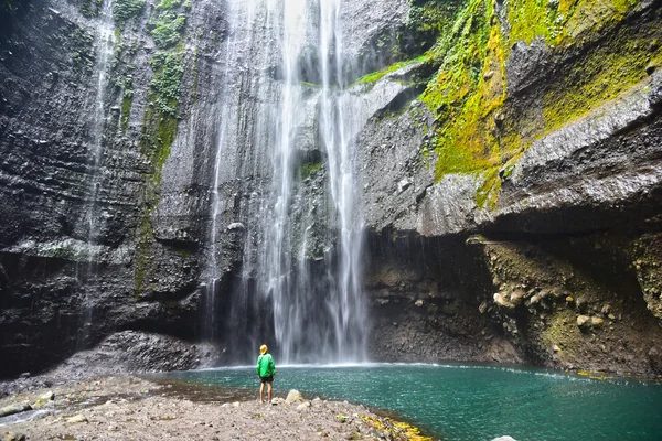 Cascada de Madakaripura en Java Oriental — Foto de Stock