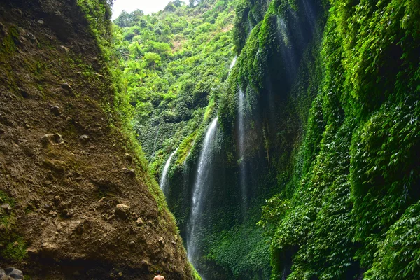 Cachoeira Madakaripura em Java Oriental — Fotografia de Stock