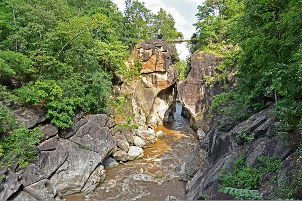 Obluang national park — Stock Photo, Image