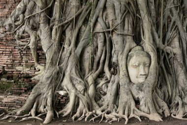 Buda heykelinin kafası