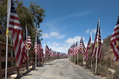 Amerikan bayrakları. Anma Günü, Bağımsızlık günü ve Gaziler günü 