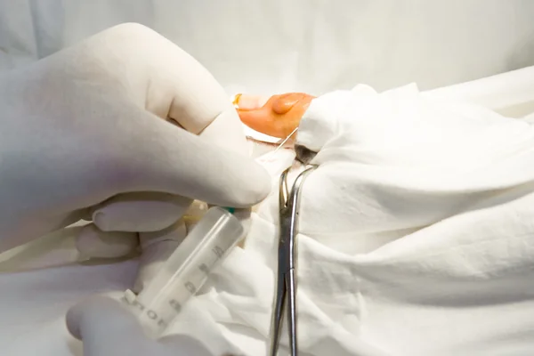 Doctors with tools in hands making surgery — Stock Photo, Image