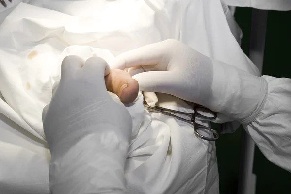 Οι γιατροί με εργαλεία στα χέρια να κάνει χειρουργική επέμβαση — Φωτογραφία Αρχείου