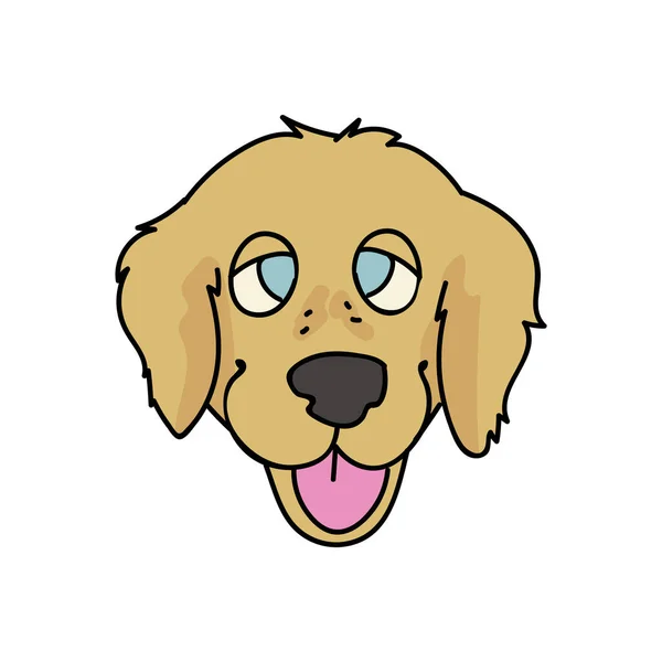 Desenhos animados bonitos golden retriever rosto cão raça vetor clipart. Pedigree canil raça cachorrinho para os amantes do cão. Cachorrinho doméstico de raça pura para mascote ilustração pet parlor. Fofos caninos isolados. EPS 10. —  Vetores de Stock