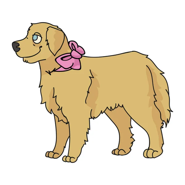 Netter Cartoon Golden Retriever Hund mit niedlichen Bogen Rasse Vektor Cliparts. Stammbaum Zwinger Hündchenzucht. Reinrassige Hauswelpen für Haustiersalon Illustration Maskottchen. Vereinzelte Eckzähne flauschig. EPS 10. — Stockvektor