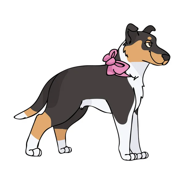 Χέρι που χαριτωμένο ομαλή κόλλεϊ με ροζ τόξο σκυλί διάνυσμα εικονογράφηση. Σκυλί καθαρόαιμο, οικόσιτο σκυλί σε κλίπ ποδιού. Αγαπούλα σκυλιών, σκυλάκι. Σκυλάκι κουνελιού. EPS 10. — Διανυσματικό Αρχείο
