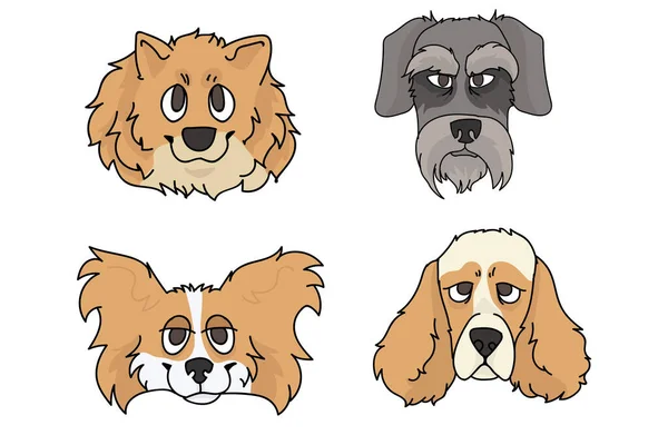 Cute cartoon dog breed set vector. Pedigree kennel spitz, papillon and schnauzer for dog lovers. Purebred cocker spaniel illustration. Isolated hunting hound. — Stock Vector