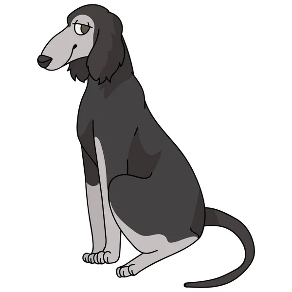 Aranyos rajzfilm Saluki ülő kutya vektor előfizetője. Törzskönyv kennel Borzoi fajta kennel klub. Fajtatiszta házi kiskutya képzés kisállat szalon illusztráció kabala. Elszigetelt kutyavadászat fajta. — Stock Vector