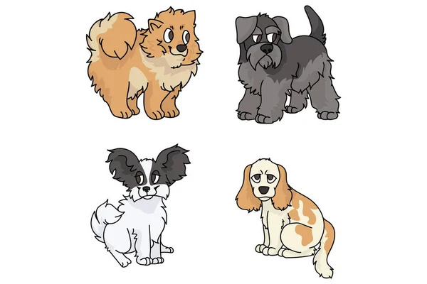 Cute cartoon dog breed set vector. Pedigree kennel spitz, papillon and schnauzer for dog lovers. Purebred cocker spaniel illustration. Isolated hunting hound. — Stock Vector