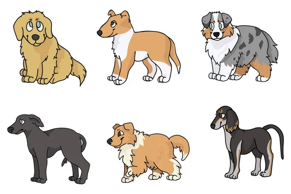 Cute cartoon puppy breed set vector clipart. Pedigree kennel rough collie, golden retriever for dog lovers. Purebred greyhound smooth collie and borzoi illustration. Isolated hunting hound. — Stock Vector