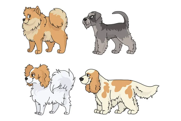 Cute rasy psów kreskówki ustawić wektor. Hodowla rodowodowa spitz, papillon i sznaucer dla miłośników psów. Czysty cocker spaniel ilustracja. Odizolowany pies myśliwski. — Wektor stockowy