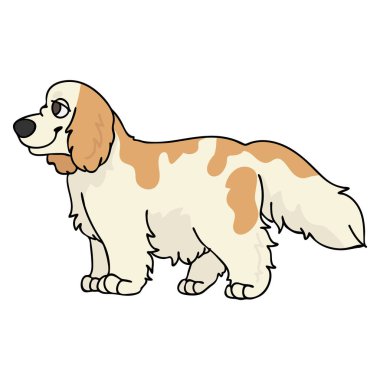 Şirin çizgi film cocker spaniel köpek yavrusu vektör clipart. Köpek kulübümüz için soylu köpek yavrusu. Evcil hayvan salonu illüstrasyon maskotu için safkan evcil köpek yavrusu eğitimi. İzole köpek..