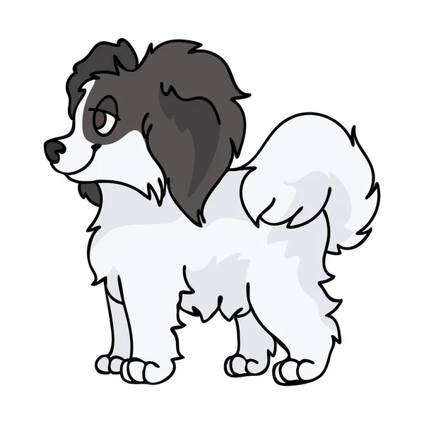 Cute kreskówki Papillon siedzi szczeniak wektor clipart. Hodowla psów rasy rodowej dla klubu hodowlanego. Czysty trening psów domowych dla maskotki ilustracji salonu zoologicznego. Izolowana rasa psów. — Wektor stockowy