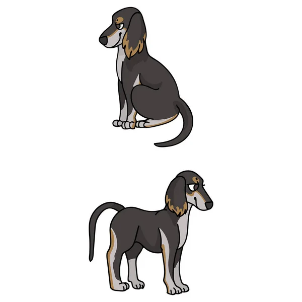 Carino cartone animato Saluki cucciolo vettore clipart. Pedigree borzoi cane per il club canile. Purosangue domestico sighthound cane formazione per pet salone illustrazione mascotte. razza canina isolata. — Vettoriale Stock